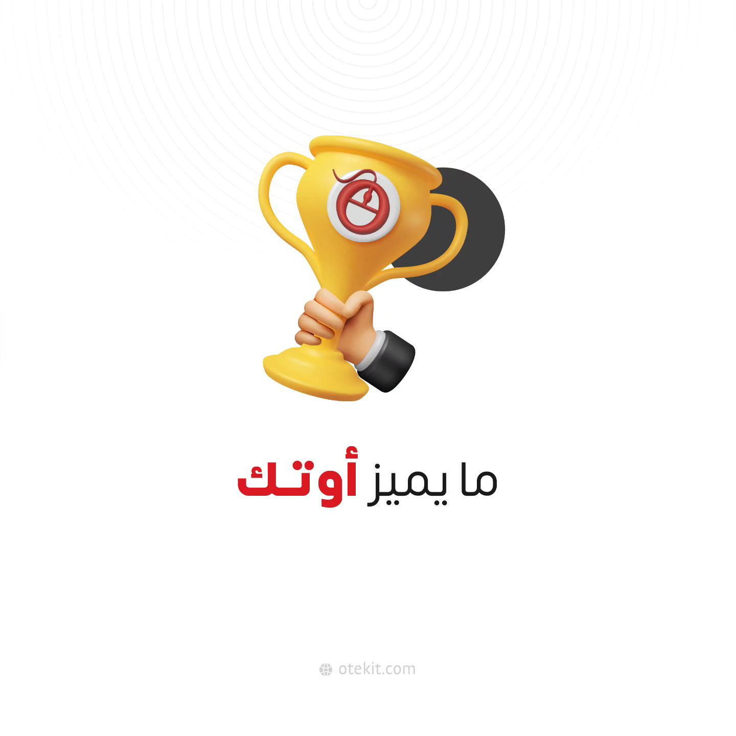 From idea to global (OTEK for designing websites, stores and applications)